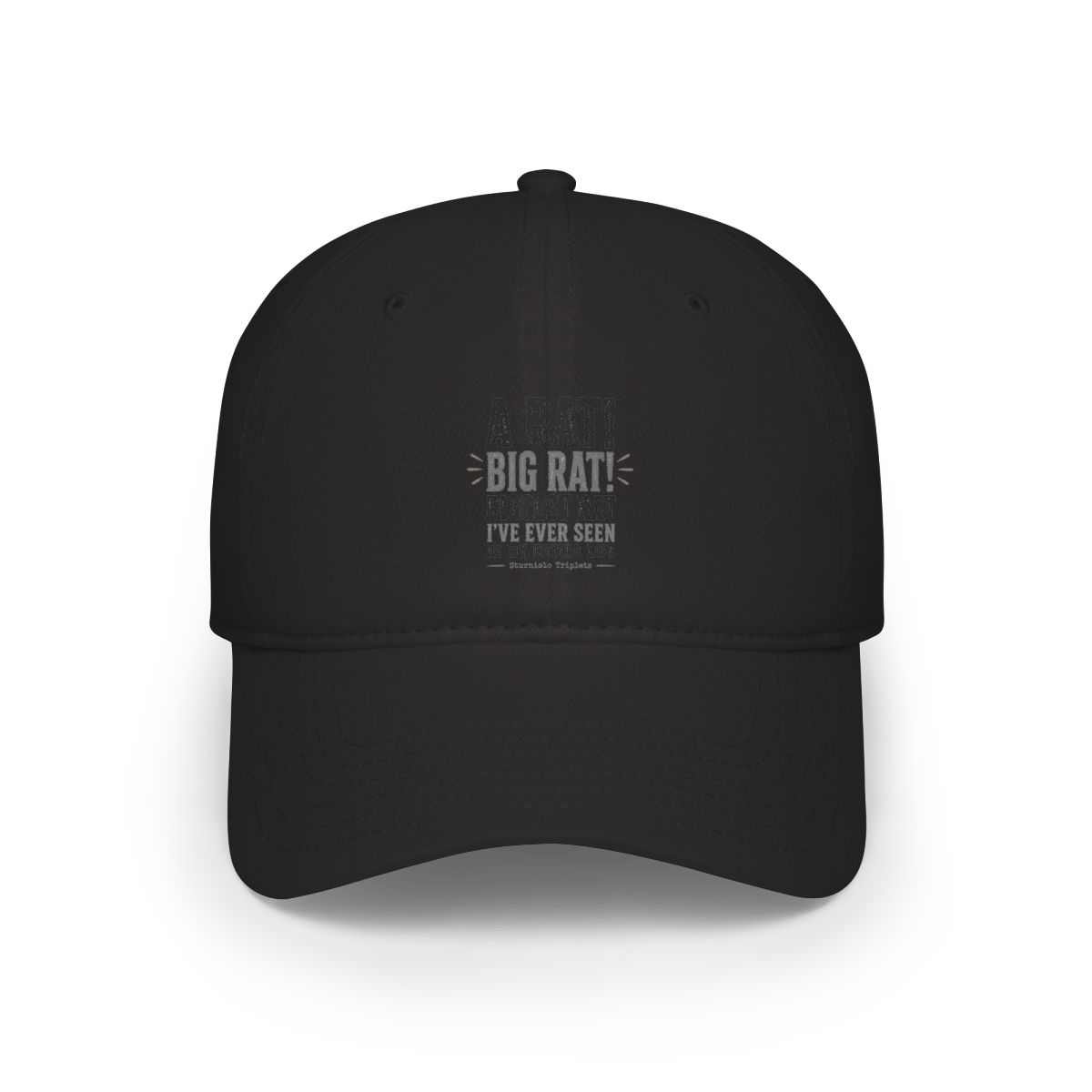 Sturniolo Triplets "A RAT! BIG RAT! BIGGEST RAT I" Hat - alternate angle 3, merchandise