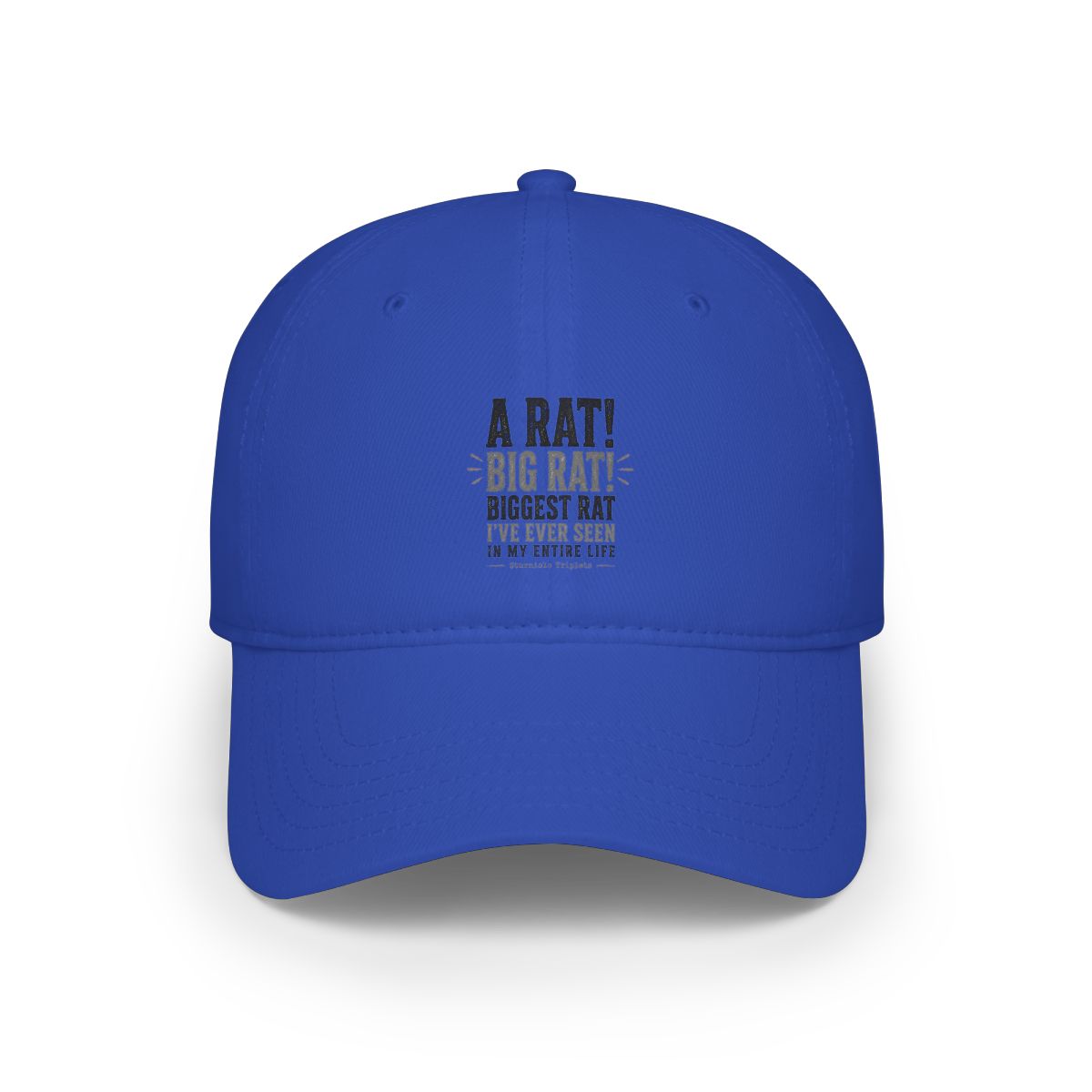 Sturniolo Triplets "A RAT! BIG RAT! BIGGEST RAT I" Hat - alternate angle 2, merchandise
